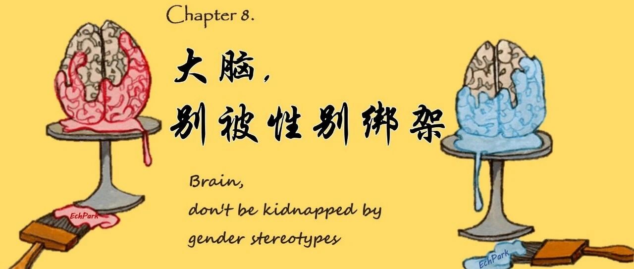 大脑，别被性别绑架